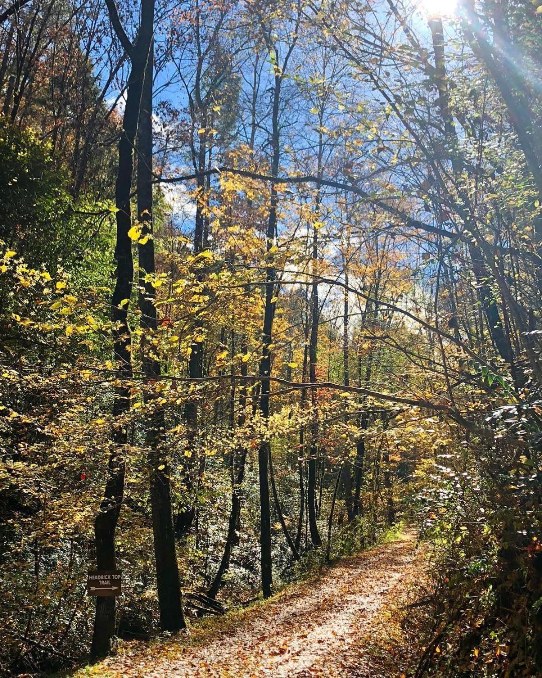 Horseshoe Hideaway Sevierville Dış mekan fotoğraf